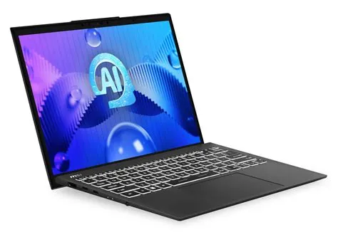 MSI PRESTIGE 13 AI EVO A1MG-009FR - Achetez au meilleur prix