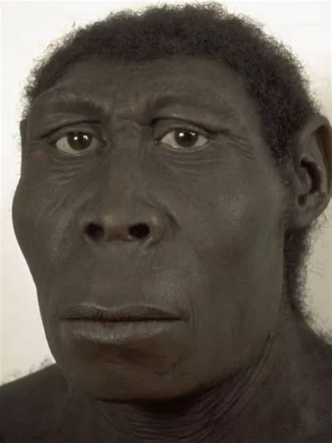 Singe Trend Tiktok Meme | Humor lustig, Lustig humor, Schwarzer humor ...