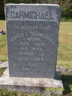 Pink Sakura Flower Background at Henry Lawrence blog