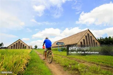 2,387 Jember Regency East Java Stock Photos, High-Res Pictures, and ...