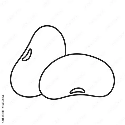 Beans vector outline icon. Vector illustration bean on white background ...