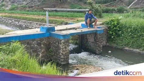 Misteri Penyebab Kulit Abil Melepuh Usai Mandi di Sungai Ambulu Jember