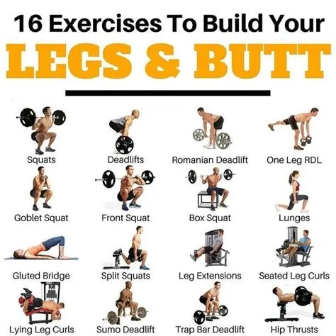 7 Must-Do Leg Exercises for Size and Strength - How to Do It? | Leg ...