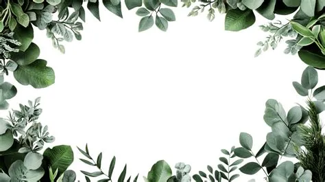 Nature Border Png - Infoupdate.org