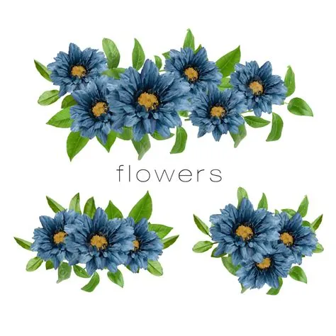 Gambar Set Bunga Biru, Set Bunga, Bunga, Bunga Bunga PNG dan Vektor ...