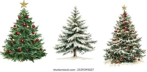31,940 Leaf Isolated On White Pine Stock Vectors and Vector Art ...