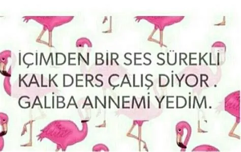 by terzihane20 on ÇÇÇÇÇÇÇÇÇÇÇÇ:) | Home decor decals, Funny, Home decor