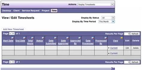 Electronic Timesheets - dad manual test