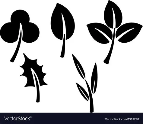 Black leaves Royalty Free Vector Image - VectorStock