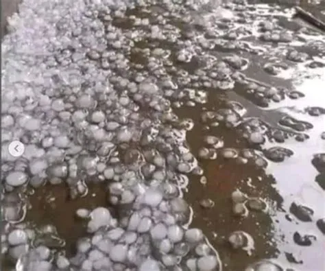 Viral Hujan Es di Kendal, Begini Penampakannya | merdeka.com