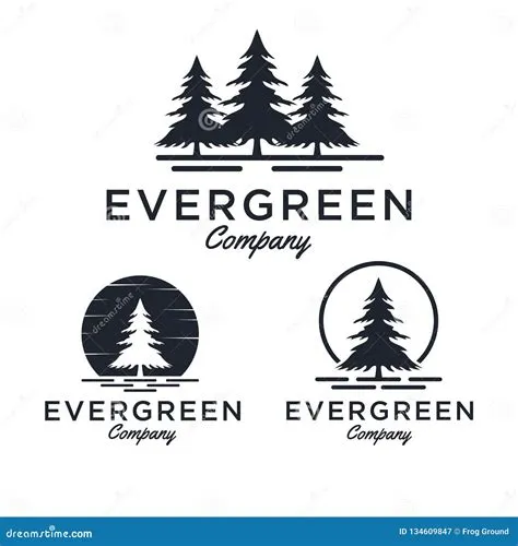 Evergreen / Pine Tree Logo Design Inspiration - Vector Stock ...