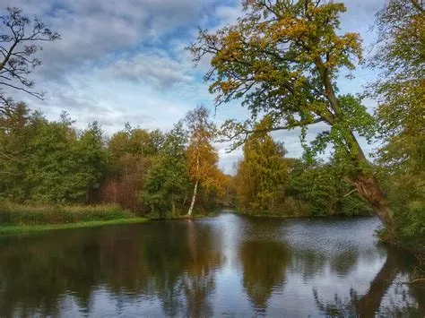 20141026_114911-01 | Razi uddin Farooqi | Flickr