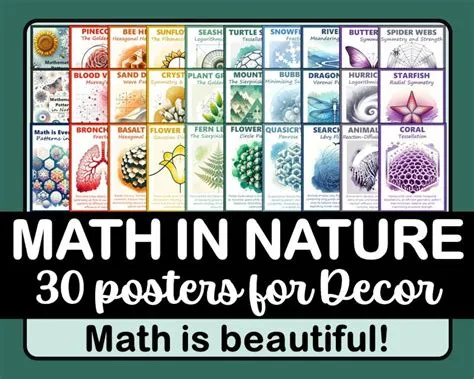 Math in Nature Poster Set: STEM Classroom Decor Bulletin Board (PDF ...
