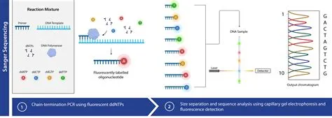 Dna Sequencing