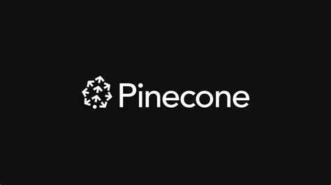 Simple Guide to Using Pinecone Vector Database