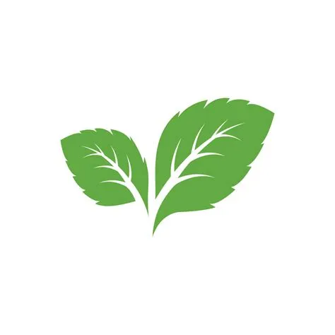 Leaf Icon