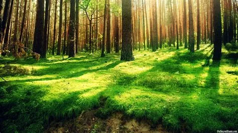 Wallpapers for Desktop Nature ·① WallpaperTag