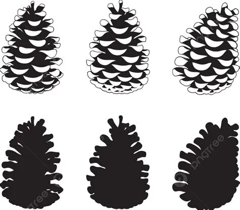 Christmas Pine Cone Vector PNG Images, Set Of Different Pine Cones ...