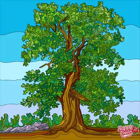 Gambar Pohon Rindang Animasi - 57+ Koleksi Gambar