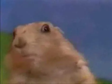 When the Dramatic Chipmunks Cry - YouTube