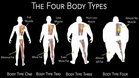 Body Type Science - How To Determine Body Types - Fellow One Research