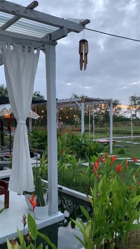 Tempat Nongkrong dan Kuliner di Jember: Jiwalk Fish Glamping | TikTok