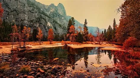 beautiful pond, trees, mountains, autumn wallpaper, background 4K HD ...