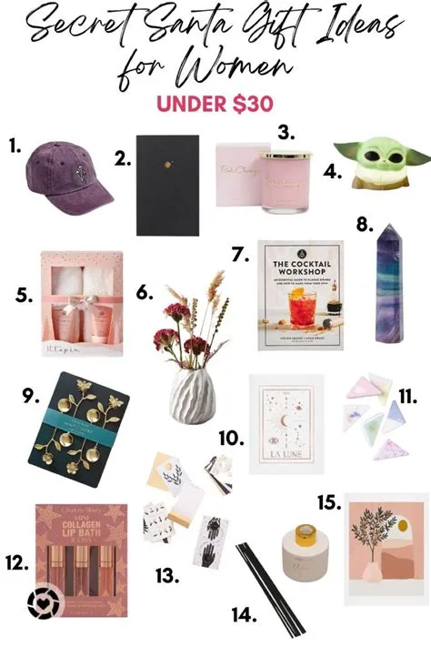 Secret Santa Gift Ideas Under $30 | Secret santa, Secret santa gifts ...