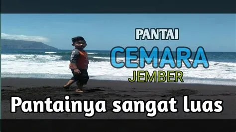 Pantai Cemara Jember - YouTube