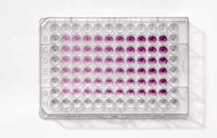 尖端生物科技Tecan產品介紹: MTT/MTS assay 細胞活性分析
