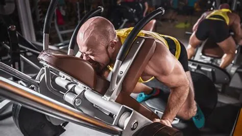 Reverse Hack Squat - How To Do, Benefits & Muscles Worked