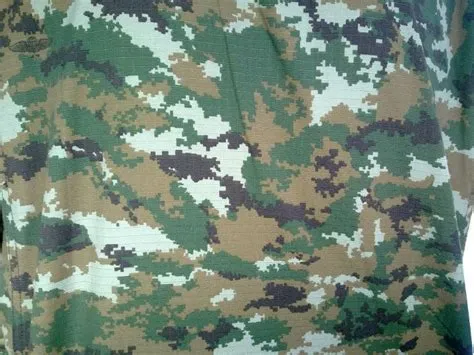 Background Loreng Kostrad - 56+ Koleksi Gambar