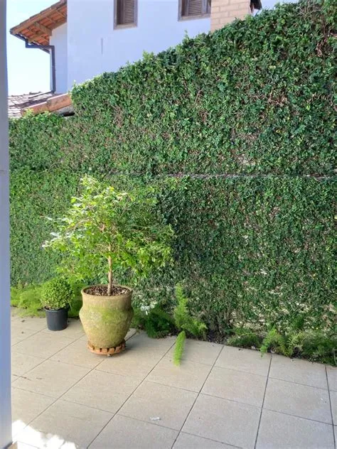 de Bianca Britto em Casa Mata da Praia | Decoração, Casas