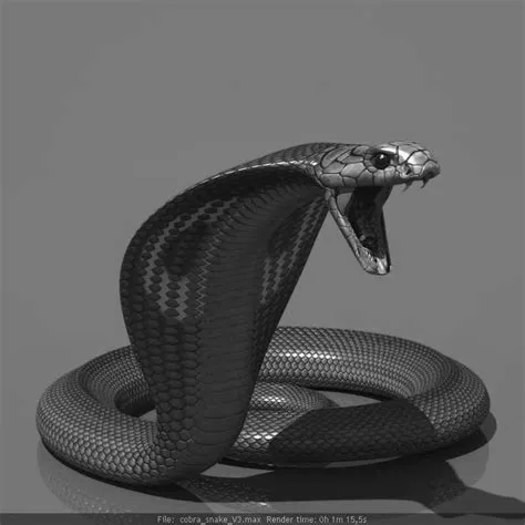 Black and White Ball Python