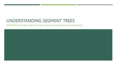 Segment Trees in Data Structures and algorithm.pptx
