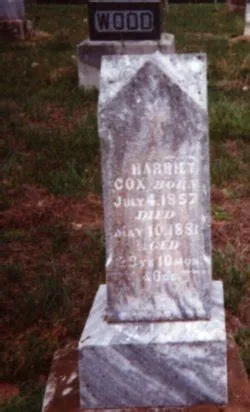 Premium Vector | National science day february 28th horizontal banner ...