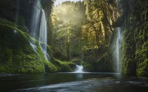 nature, Landscape, Oregon, Waterfall, Moss, Forest, Mist, Sunrise, USA ...