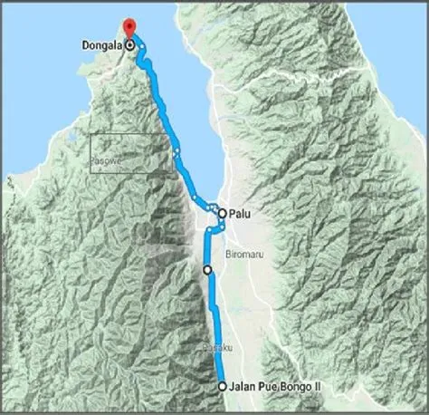 Location and survey trajectory in Palu and the Surrounding area (Google ...