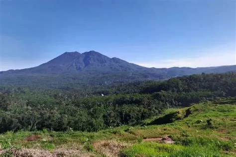 5 Wisata Menarik di Jember, Salah Satunya Masih Belum Terekspos ...