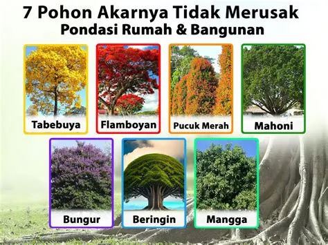 7 Jenis Pohon Peneduh yang Akarnya Tidak Merusak Pondasi Rumah ...