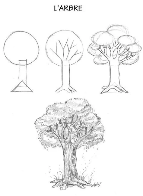 by Anne Conger on apt | Trees art drawing, Nature art drawings ...