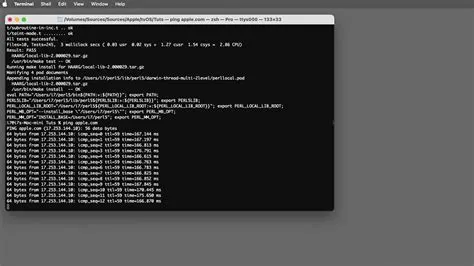 How to test your network or server using ping in Terminal