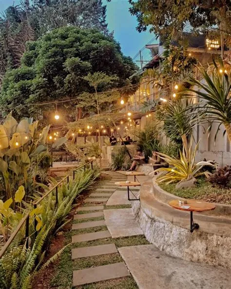 10 Cafe Nuansa Alam di Jakarta, Bisa Healing di Tengah Kota - Nibble