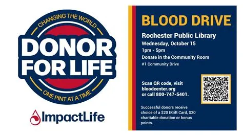 Rochester Public Library District | Rochester IL