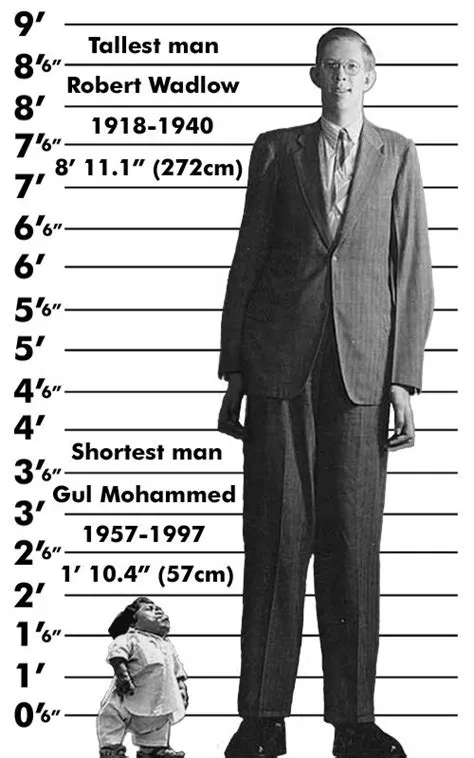 Robert Wadlow of Alton, Illinois, widely believed to be the tallest man ...