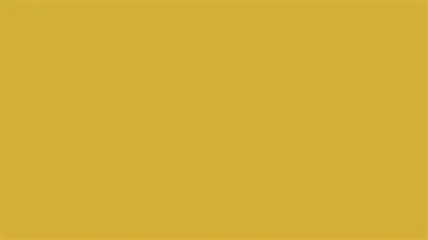 [100+] Plain Gold Backgrounds | Wallpapers.com