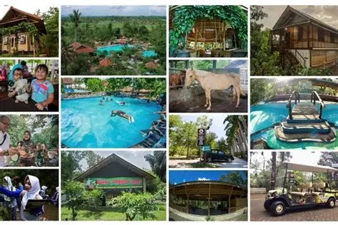 Eksplorasi Keindahan Wisata Jember, Mulai Dari Pantai di Wilayah ...