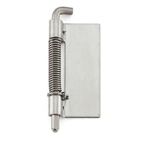 Spring Loaded Pivot Hinge