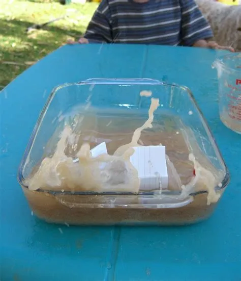 Tsunami Activity - Homeschool Den