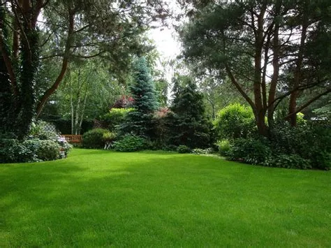 I really like doing this. Beautiful Backyards Landscaping | Acreage ...